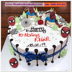 Bánh Sinh Nhật Siêu Nhân - US113